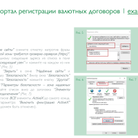 Регистрация валютных договоров на портале НБРБ-5