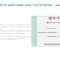 Регистрация валютных договоров на портале НБРБ-8