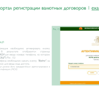 Регистрация валютных договоров на портале НБРБ-10
