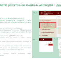 Регистрация валютных договоров на портале НБРБ-12