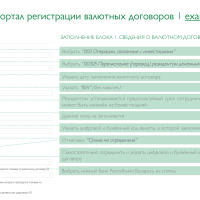 Регистрация валютных договоров на портале НБРБ-14