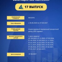 Информация по 17 выпуску