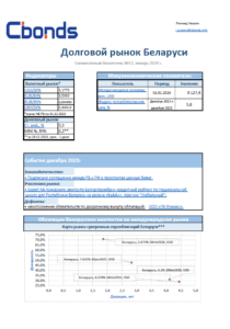 Ежемесячный бюллетень №12 по Долговому рынку Беларуси. Страница №1